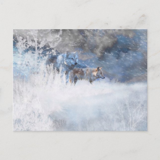 VARG WINTER-TERRITORIER VYKORT (Framsida)