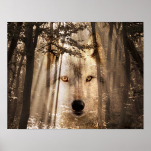 Vargansikte i skogen poster