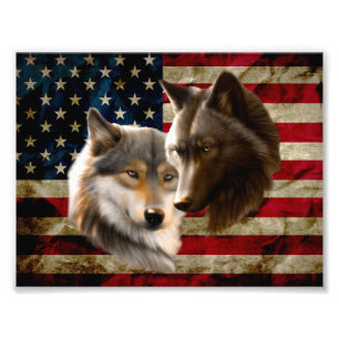 Vargar American Flagga Fototryck
