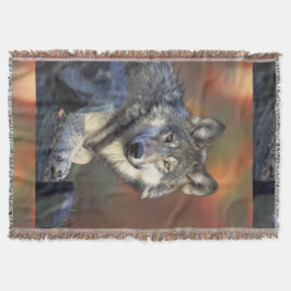 Vargar Grått Varg Canis_lupus Filt