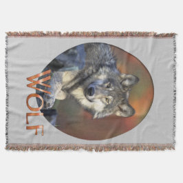 Vargar Grått Varg Canis_lupus Mysfilt