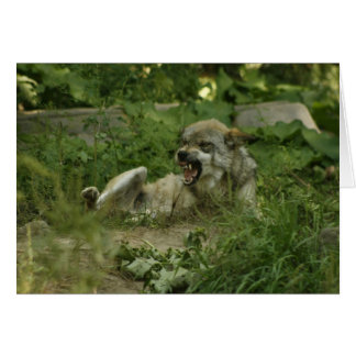 Vargar Hälsningskort