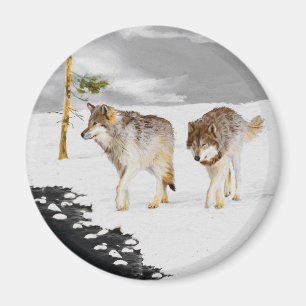Vargar i Snö-färgning - Originalbild av vilda djur Magnet