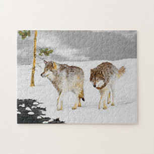 Vargar i Snö-färgning - Originalbild av vilda djur Pussel
