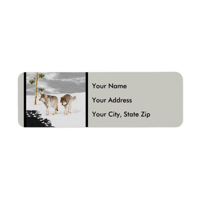 Vargar i Snö-färgning - Originalbild av vilda djur Returadress Etikett (Framsidan)