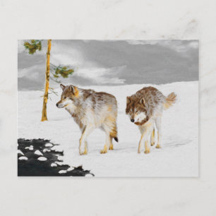 Vargar i Snö-färgning - Originalbild av vilda djur Vykort
