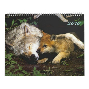 Vargar med valp 2010 Kalender
