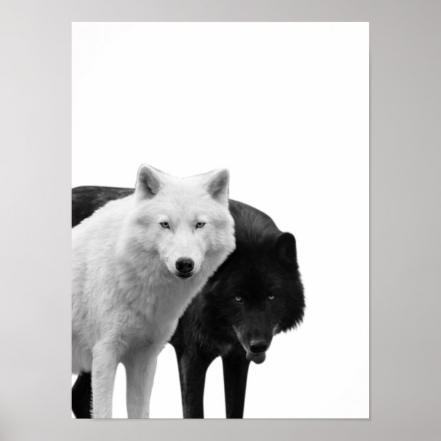 Vargar Svart Vitt Hus Bondgård Foto Affisch (Framsidan)
