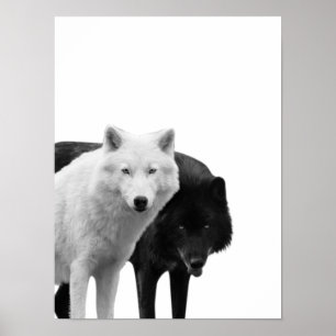 Vargar Svart Vitt Hus Rustik Fototavla Poster