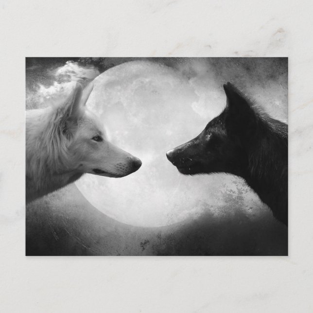 Vargar Vykort (Framsida)