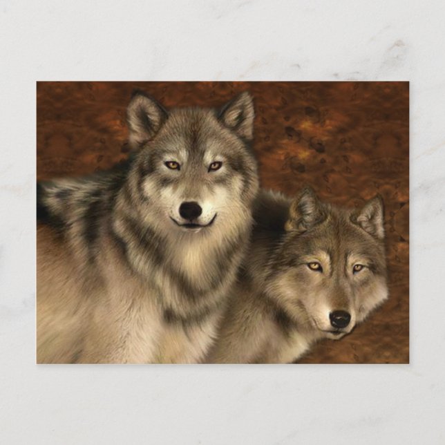 Vargar vykort (Framsida)