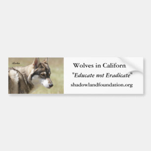 Vargbildekal Bildekal
