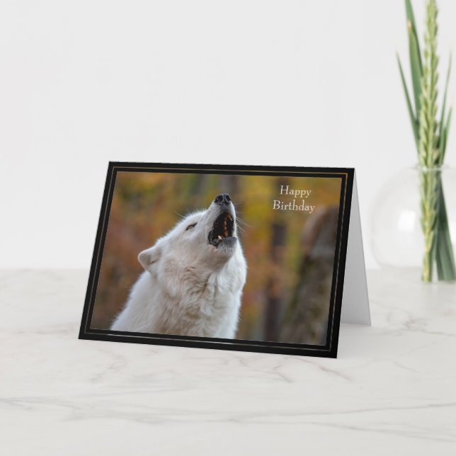 Vargen Grattis på födelsedagen Card Kort (Framsida)