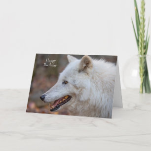 Vargen Grattis på födelsedagen Card Kort