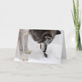 Vargen möter musen kort