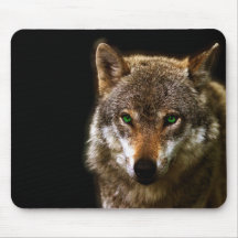 Vargen profilerar med redigerbar bakgrund för grön