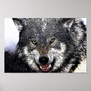 Vargen vild Ögon teckning Poster Skriv ut