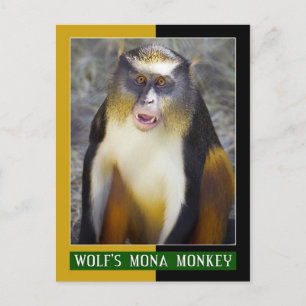 Vargens apa (Guenon) Vykort