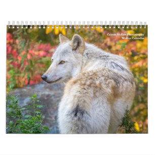 Vargens fotokalender kalender