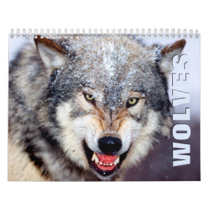 Vargens väggkalender kalender