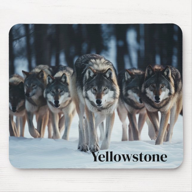 Varger för musslor med betongad-Yellowstone Musmatta (Framsidan)