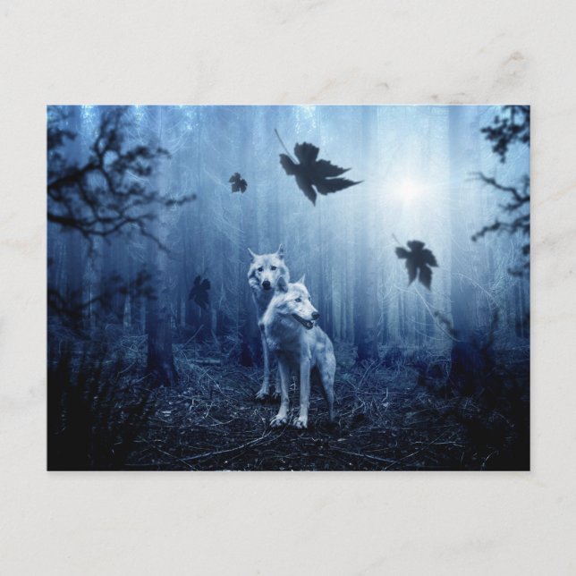 varger i skogen vykort (Framsida)