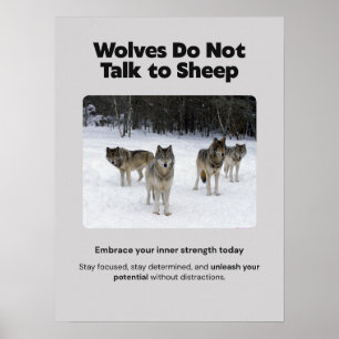 Varger pratar inte med fårmotiv Poster