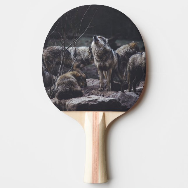 Vargflock Pingisracket (Framsidan)