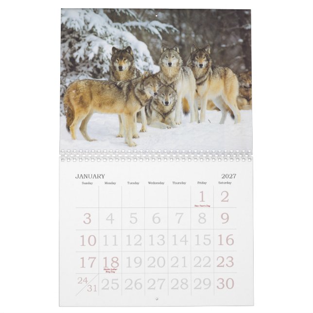 Vargkalender Kalender (Jan 2027)
