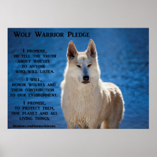 Vargkrigare Poster