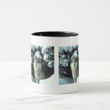 Vargmönster i vinterpinarna