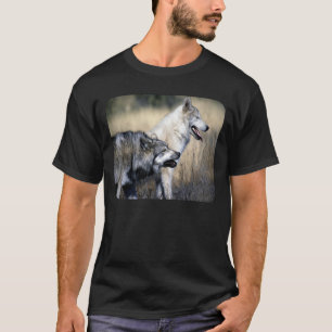 VARGPACKE TEE SHIRT