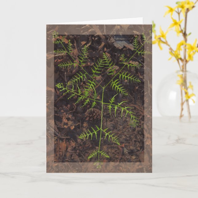 vårgrön kort (Gul blomma)