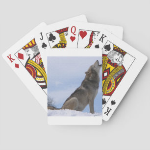 Vargtjut Casinokort