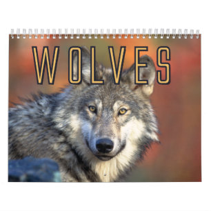 Vargväggkalender Kalender