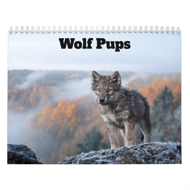 Vargvalpar 2027 Kalender (Omslag)