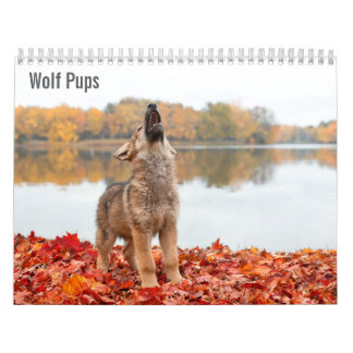 Vargvalpar 2027 Kalender