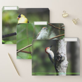 Variation av fåglar sparar mappuppsättningen #3