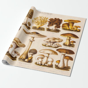 Variation för vintage1800schampinjonen plocka presentpapper