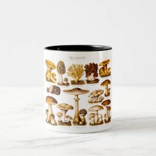 Variation för vintage1800schampinjonen plocka Två-Tonad mugg