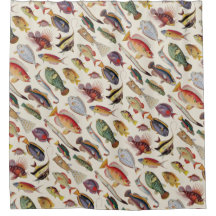 Variationer av fisken