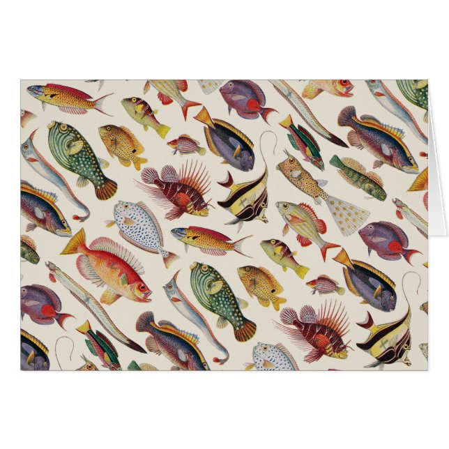 Variationer av fisken hälsningskort (Framsidan Horizontal)