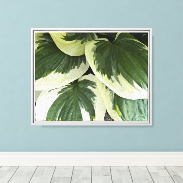 Variegated Hosta Plant Blommigt Canvastryck (Insitu (trägolv))