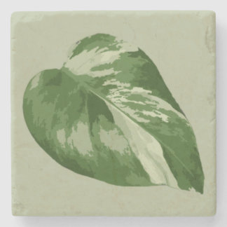 Variegated Monstera Leaf Coaster – Real Plant Art Stenunderlägg