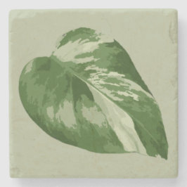 Variegated Monstera Leaf – Real Plant Art Stenunderlägg