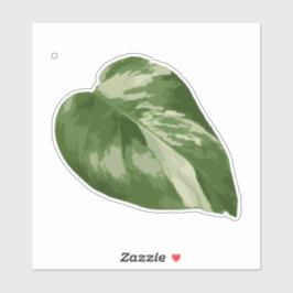 Variegated Monstera Sticker – Clear Cut Leaf Klistermärken