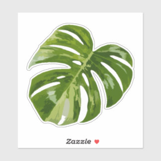 Variegated Monstera Sticker – Clear Cut Leaf Klistermärken