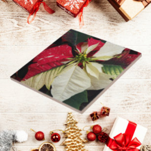 Variegerad Blommigt Helgdag för Poinsettia Kakelplatta