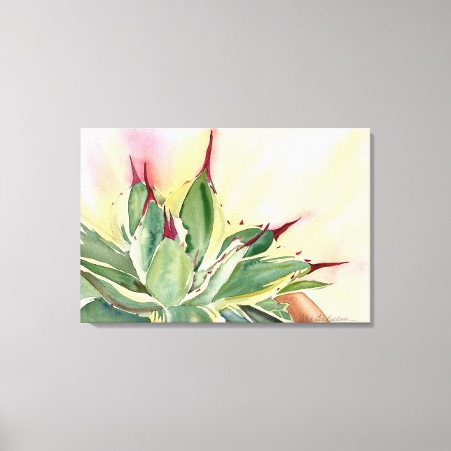 Variegerad dvärgagave canvastryck (Framsida)