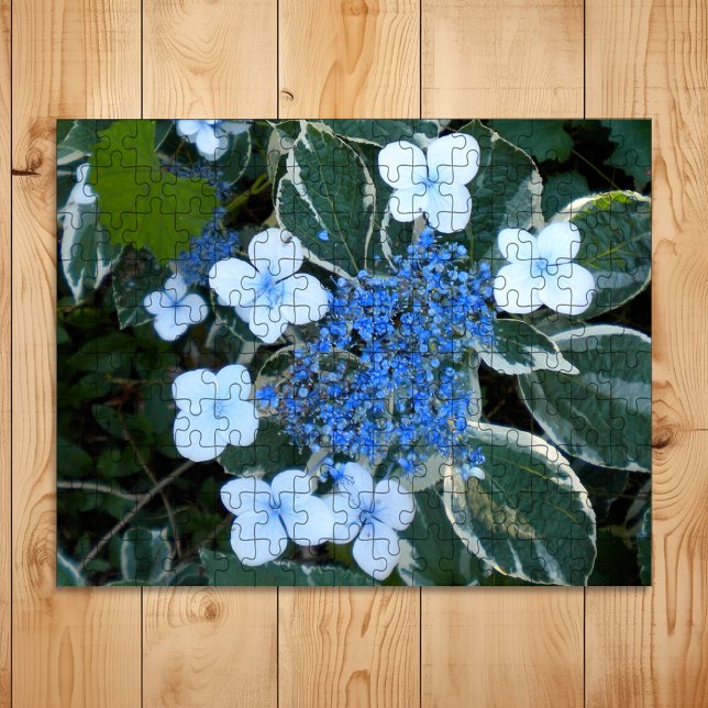 Variegerat blått Hydrangea Pussel (Skapare uppladdad)